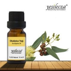 Yeşilecza Okaliptus Yağı 10 ml.